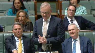 Albo roasting Dutton's nuclear thought bubble