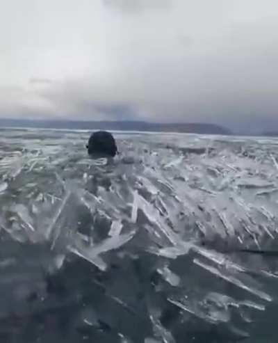 Swimming in lake Baikal during the winter