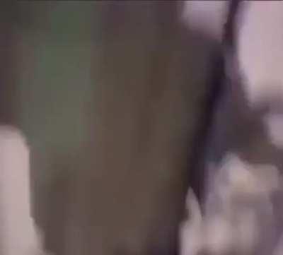 Cursed_video158 (could it be real? Leave your thoughts in the comments)