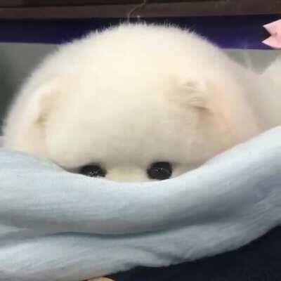 A shy little cloud