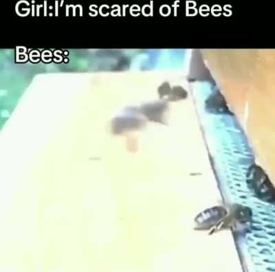 bee gaming