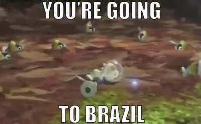 You're going to brazil say goodbye