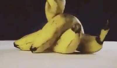 FLOPPY BANANASSSS