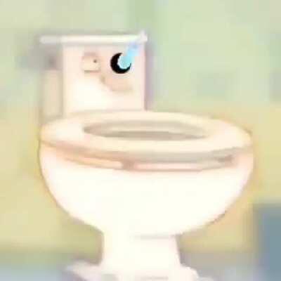 SANSMIRE TOILET