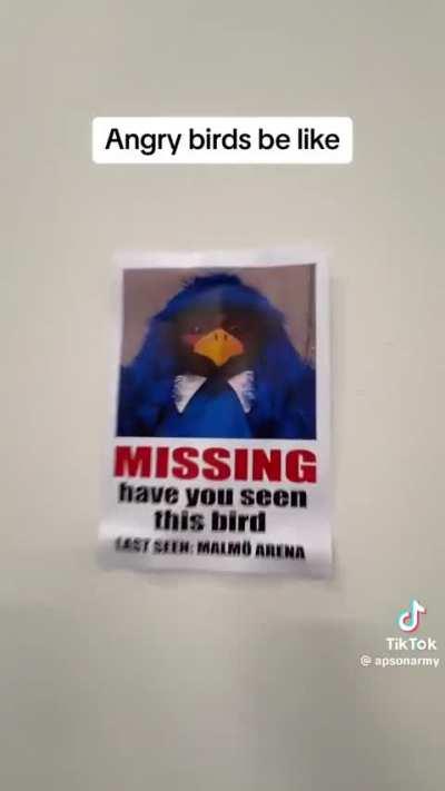 Joost's bird is missing