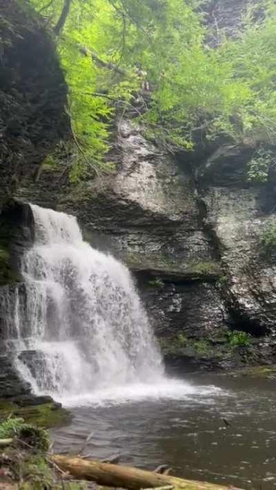 adams creek trail. del gap pa