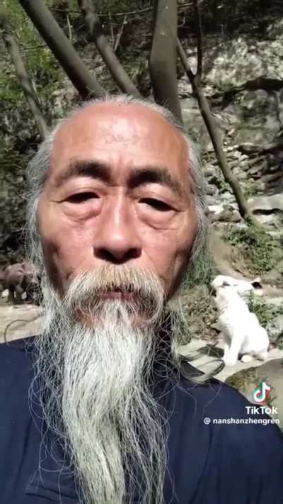 O velho e o gato