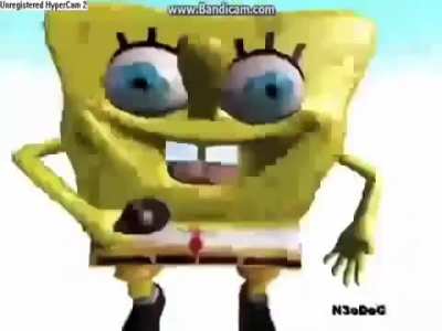 SponGe Rapin