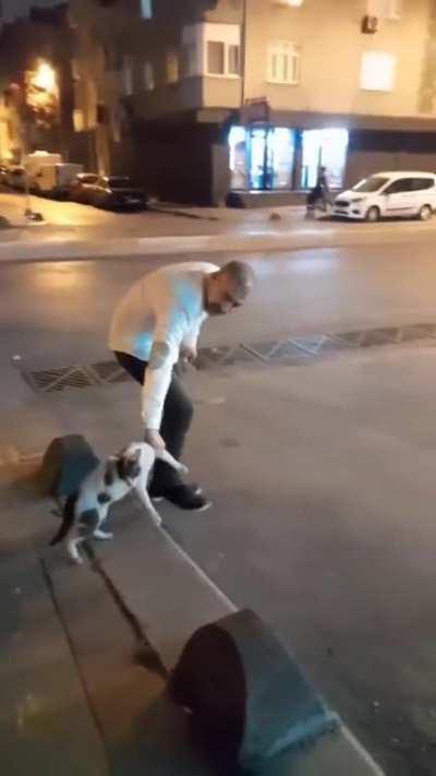 Man breaking up a cat fight