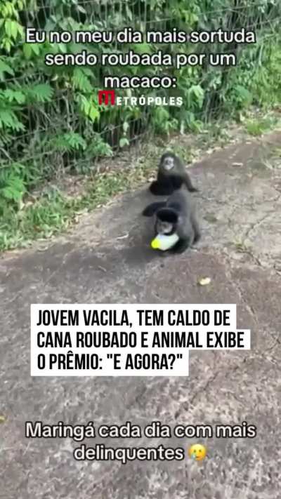 Akemi flagrado em Maringá imagens reais