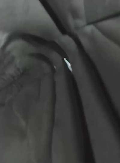 Shark swallows diver’s camera, captures video inside shark’s body. 