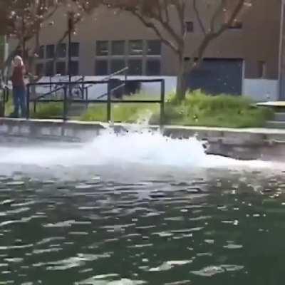 Probably the best skateboard trick I've ever seen