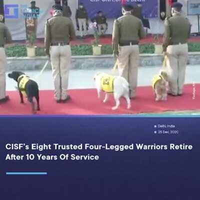 8 warriors retire with honours after 10 years of service.