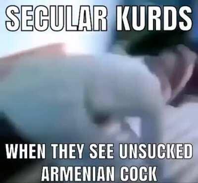 Kurds in Armenia subreddit in a nutshell 🤮🤮🤮🤮🤢🤢🤢