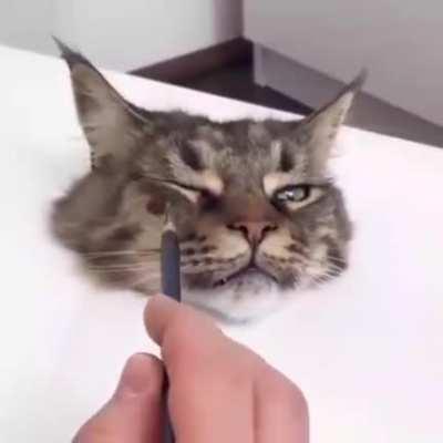 Paint cat