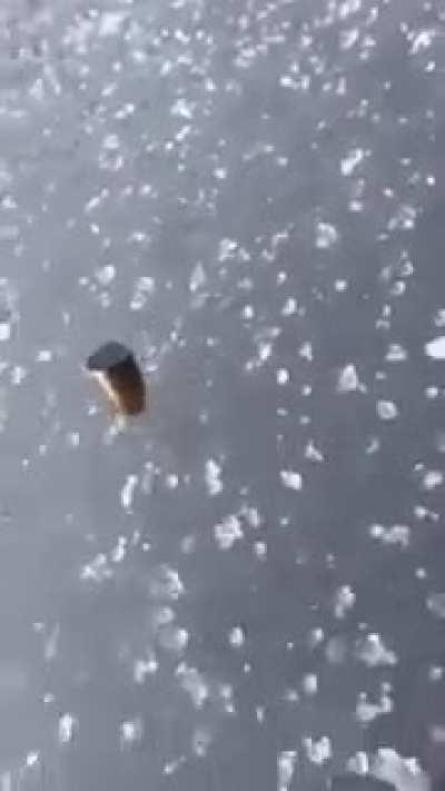 This is how a bullet behaves when fired on cold ice