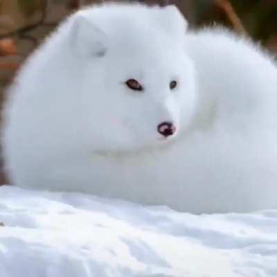 Fluffy cloud