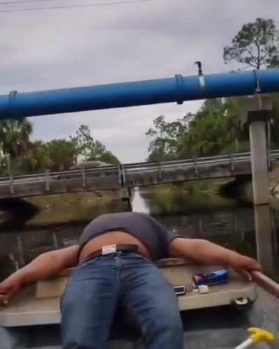 Just a quick little nap