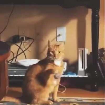 Nothing to see here, move along...