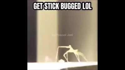 GET STICK BUGGED LOL