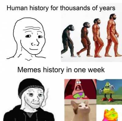 Phd in meme history