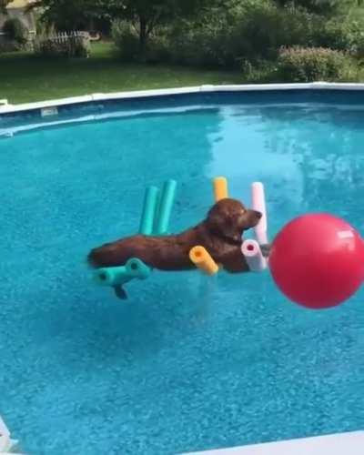 A float in the pool...