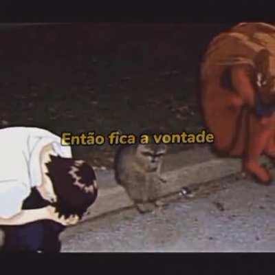 eu_nvr