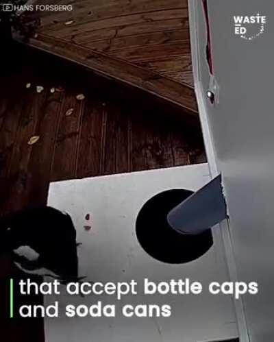 Bird feeder accepts bottle caps for food