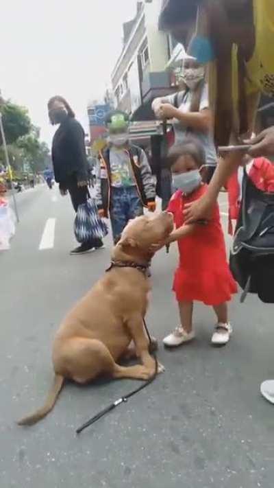 a child finds a dog that she loves