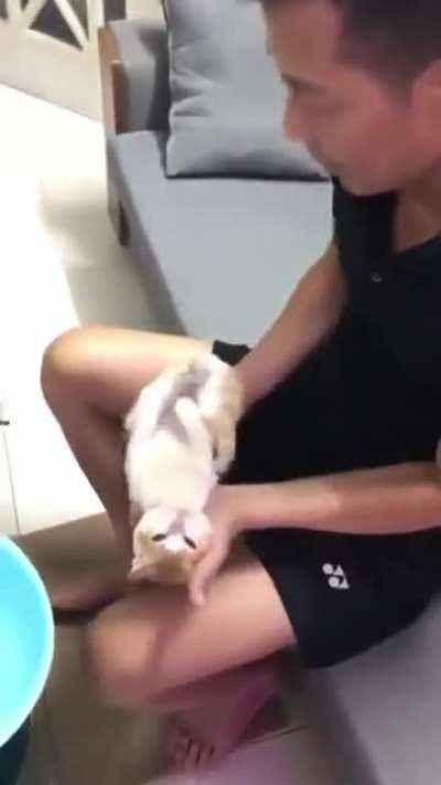 Vietnamese grandpa giving a lesson on how to shower a baby with his cat