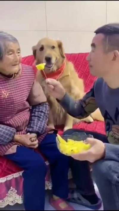 Even the dog knows, honor your elders.