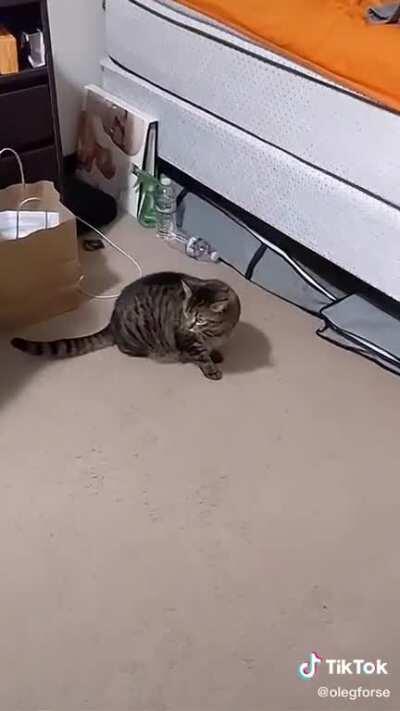 He kinda angry ngl...