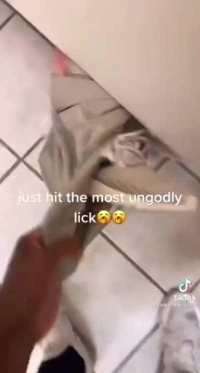 Guy posts tiktok of himself bullying someone in the school stall