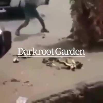 steps one foot in darkroot garden-