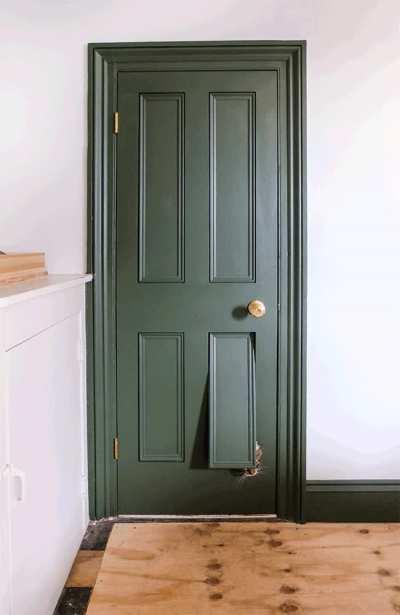 Door with a hidden built-in kitty door