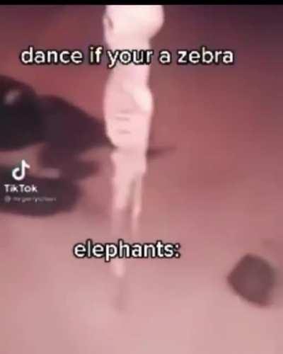 If you don't get it, it because elephants aren'd zebras 🤣🤣🤣🎎🤯🤯 R/woosh