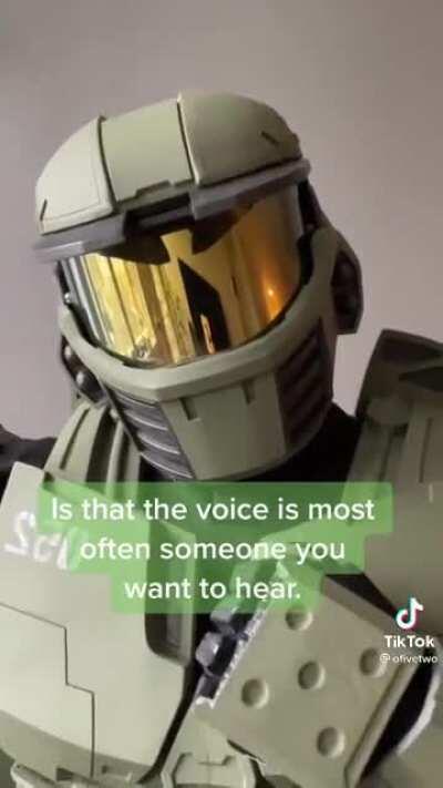 Wholesome Master Chief