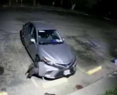 Stealing Parts Off A Car.