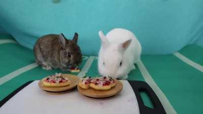 Smol buns plotting smol crimes over smol pizza. (Video in the comments)