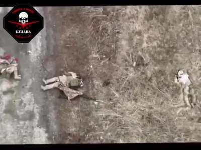 Ukrainian drone headshots a russian soldier , and kills in total of 3 invaders.