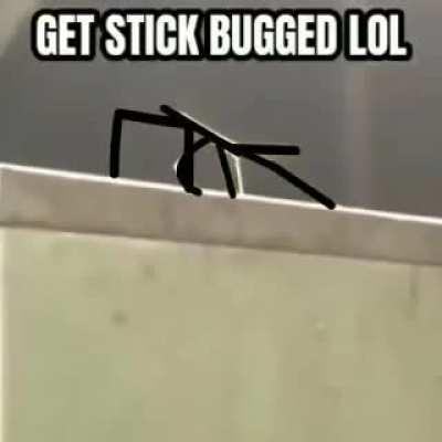 GET &quot;STICKBUGGED&quot; LOL