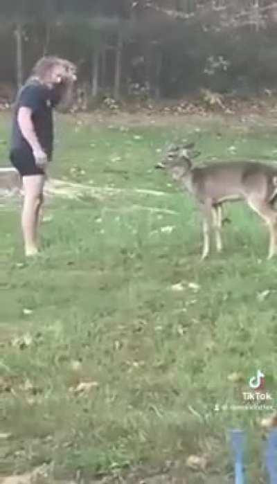 Man was making his morning coffee and then started fighting a deer