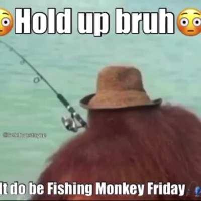 After thanksgiving let’s settle down with a calm relaxing funky monkey Friday