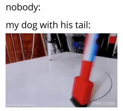 tail tail tail TAILS