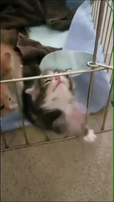 Lemme out!