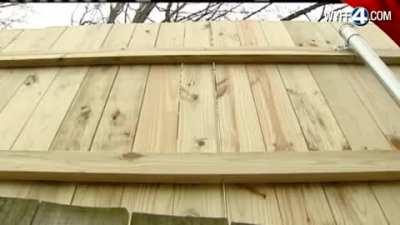 Man build 15ft fence after his neighbor snitched on him and his dogs.