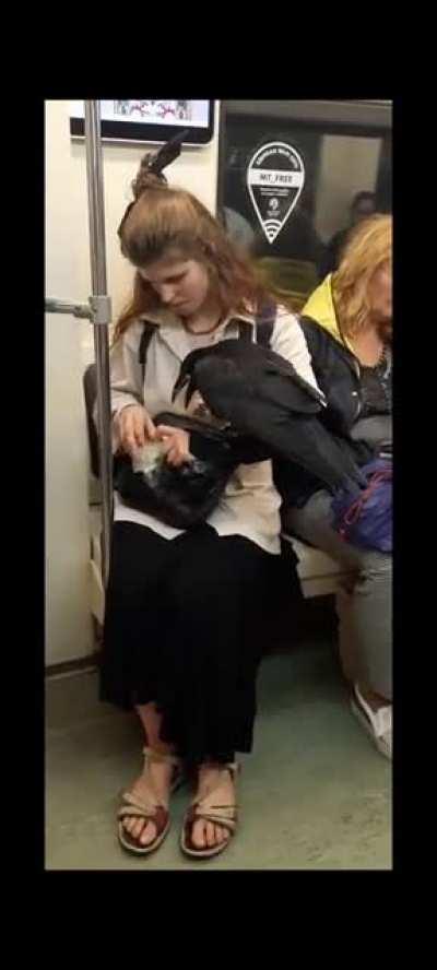 lady with her crow on the subway