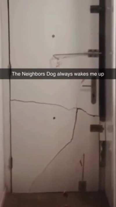 My neighbor's dog has been waking me up everyday, he claims they don't have a dog