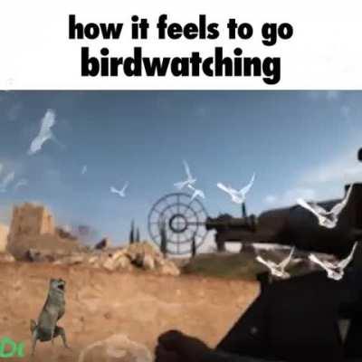 birdwatching rule