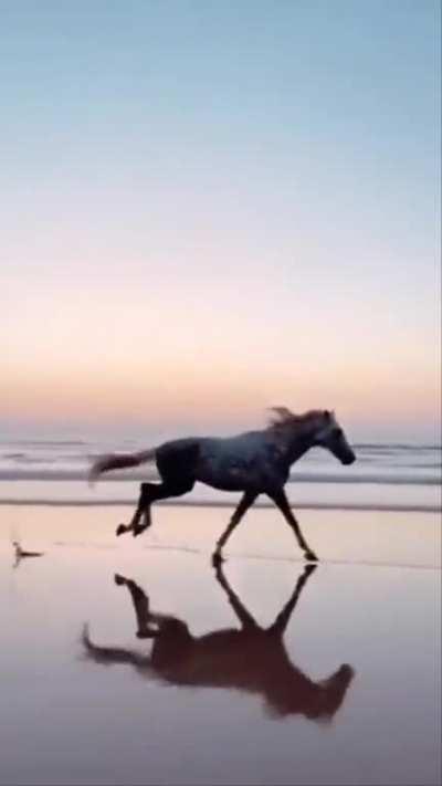 The way this horse puts it into another gear